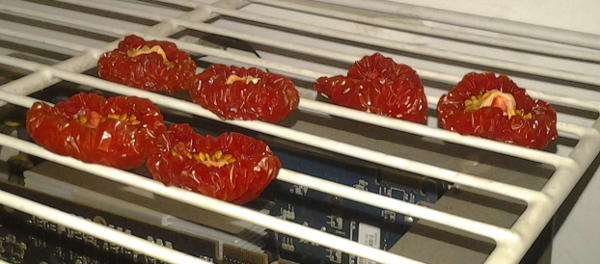 Semi-dried tomatoes after three days